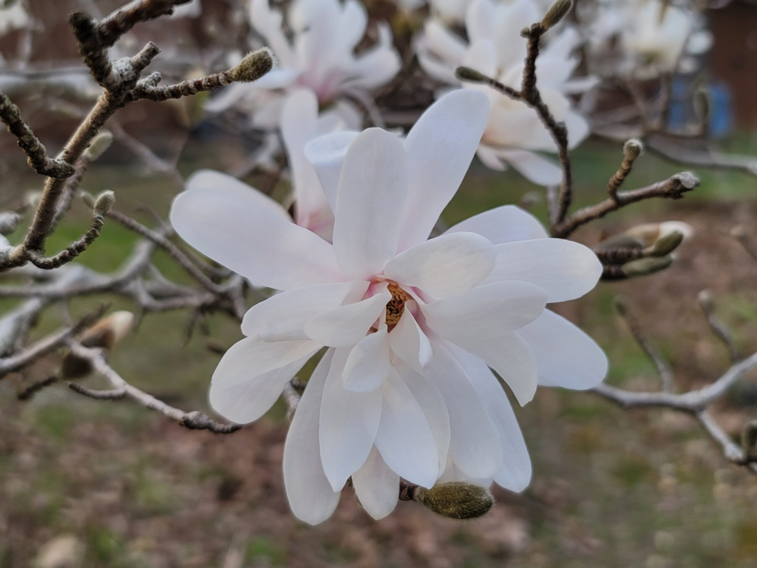 Blog post thumbnail image